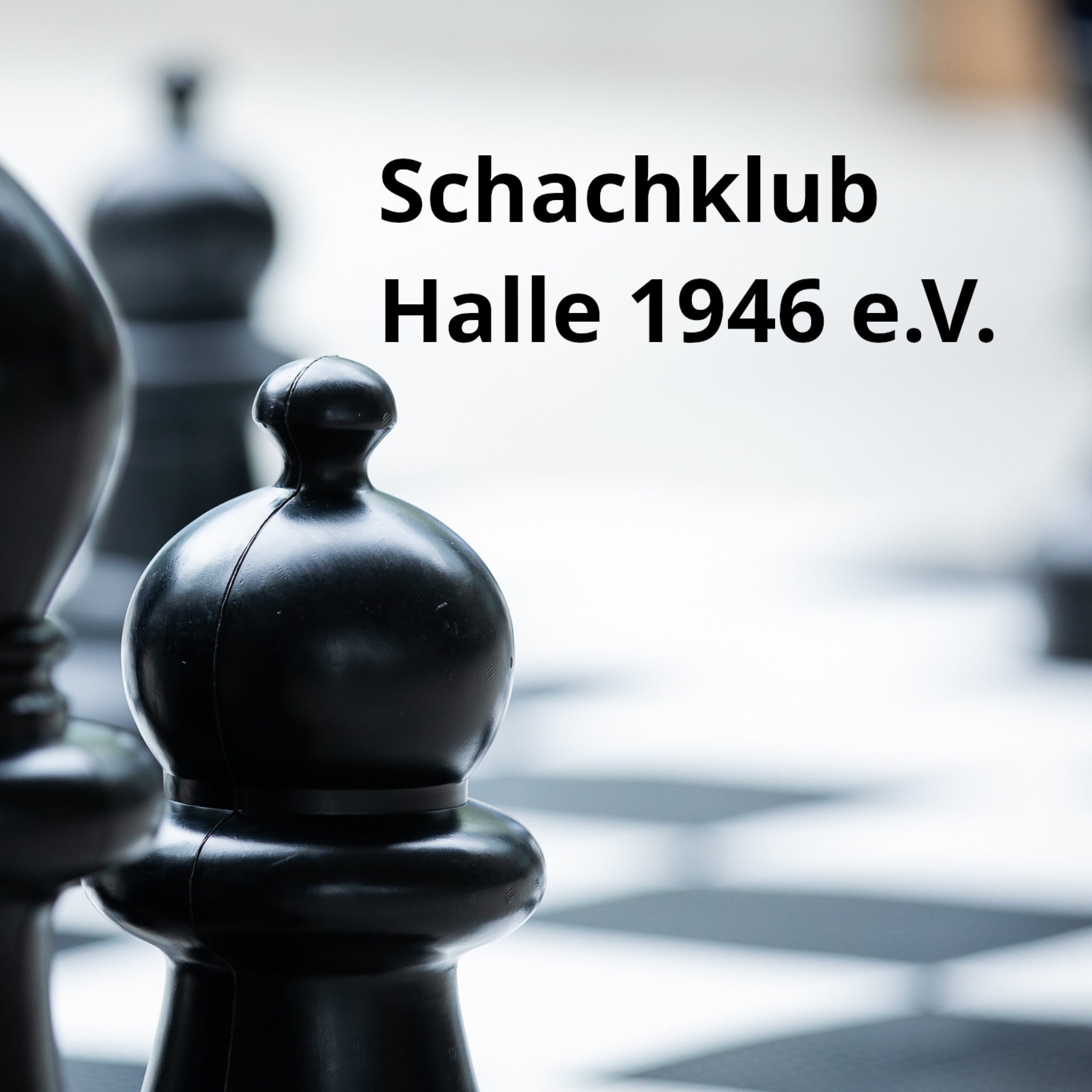 Read more about the article Schachklub Halle 1946 e. V.